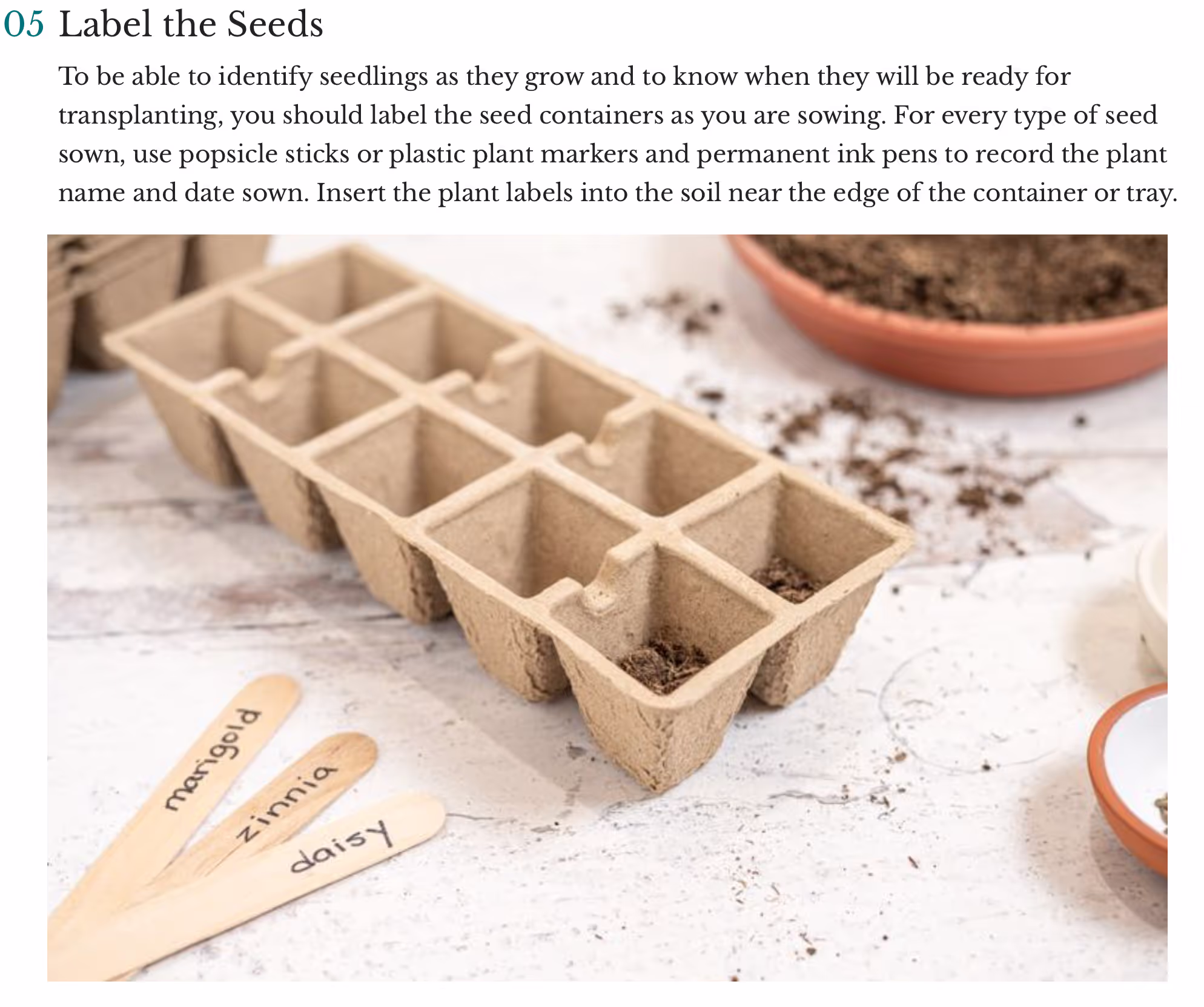Example of compelling visuals.